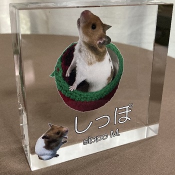 思い出クリスタル名入れギフト 綿の実工房