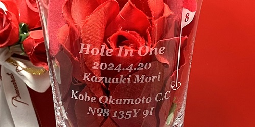 バカラグラス名入れ ゴルフデザイン ホールインワン達成記念品 ブラーヴァ ハイボール 賞品