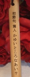 ̎薼̃y[W MtgELOi Ȃ̎H[
