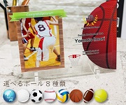 球技フォトフレーム名入れ記念品 野球 サッカー テニス