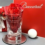 バカラ ブラーヴァ ハイボールグラス 名入れ ゴルフ ホールインワン達成記念