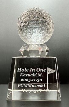 スポーツトロフィー ボールトロフィー 名入れ記念品 ホールインワン記念 エイジシュート記念 表彰
