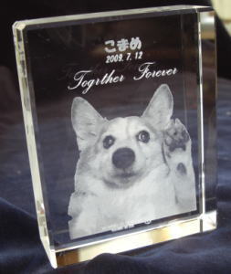 ２Ｄクリスタル名入れ ペット写真 メモリアル レーザー彫刻 名入れ記念品 オリジナル 綿の実工房