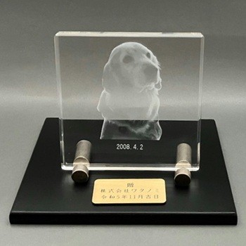 寄贈プレート刻印 金色 記念品 木製の飾り台付 2Dクリスタル名入れ オリジナルギフト 贈答品 綿の実工房