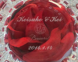 �o�J�� �O���X ��� �����꒤�� ������M�t�g ������L�O�i �Ȃ̎��H�[