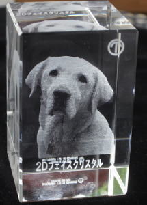 ubN^Cv 2DNX^[U[ IWi LOi ʐ^[U[H