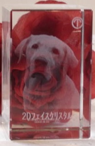 ubN^Cv 2DNX^[U[ IWi LOi ʐ^[U[H