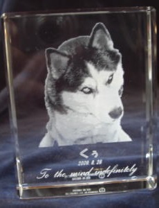 `^Cv 2DNX^[U[ IWi LOi