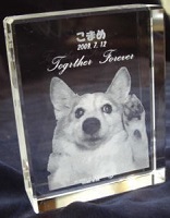 ybgʐ^ O 2DNX^[U[ LOi