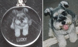 L[z_[EXgbṽy[W Ȃ̎H[