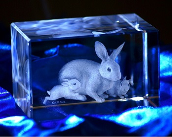 CC-1 CCENA Ȃ 3D[U[NX^ xK