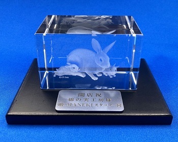 CC-1 CCENA Ȃ 3D[U[NX^ 񑡃v[gFt x Ȃ̎H[