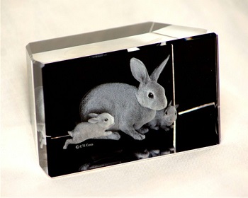 BB-1 BBNX^ Ȃ 3D[U[NX^ xK