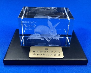 CC-1 CCENA  3D[U[NX^ 񑡃v[gFt x Ȃ̎H[