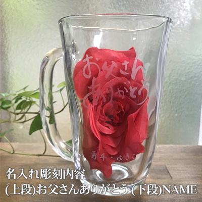 �r�A�W���b�L������ ��т˂� ������M�t�g�E������L�O�i �Ȃ̎��H�[