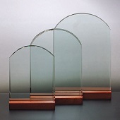 DSP-1 ガラス盾 サイズ小・中・大